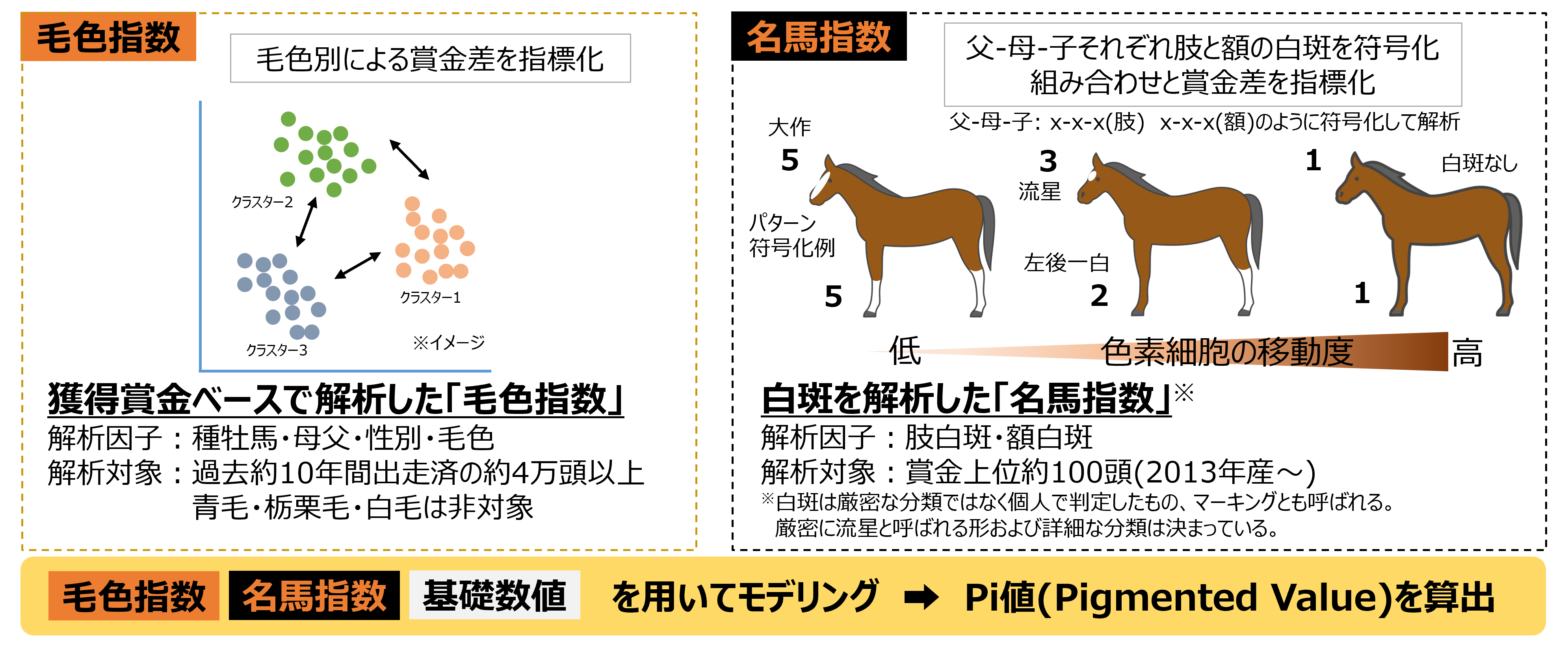 毛色指数と名馬指数を用いてPi値を算出する解析概要図